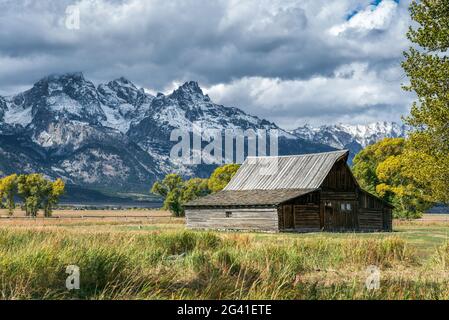 JACKSON, WYOMING/USA - 1. OKTOBER: Blick auf die Mormon Row in der Nähe von Jackson Wyoming am 1. Oktober 2013 Stockfoto