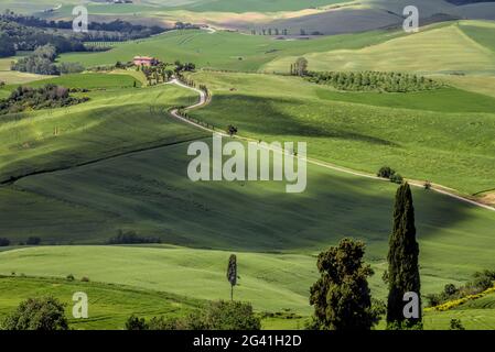 Landschaft des Val d ' Orcia in der Nähe von Pienza Stockfoto