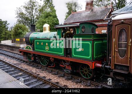 Golden Arrow an Sheffield Park station Stockfoto