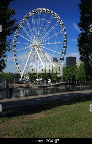 Ferries Wheel, Montreal, Quebec, Kanada Stockfoto