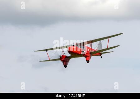 De Havilland DH90 Dragonfly bei Shoreham airshow Stockfoto