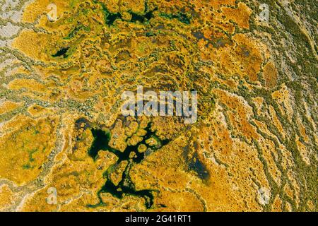 Miory Bezirk, Witebsk Region, Weißrussland. Der Yelnya Sumpf. Hochland Und Übergangs Sümpfe Mit Zahlreichen Seen. Erhöhte Luftaufnahme Der Yelnya Natur Stockfoto