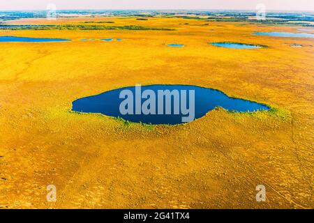 Miory Bezirk, Witebsk Region, Weißrussland. Der Yelnya Sumpf. Hochland Und Übergangs Sümpfe Mit Zahlreichen Seen. Erhöhte Luftaufnahme Der Yelnya Natur Stockfoto