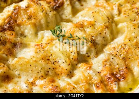 Hausgemachte cremige, gezuckelte Kartoffeln mit Käse und Gewürzen Stockfoto