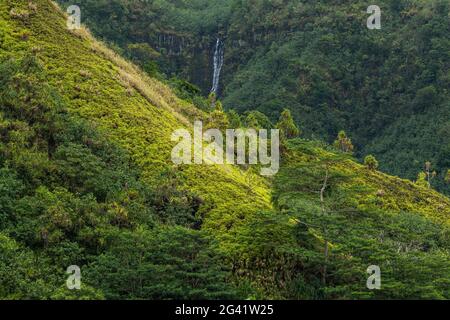 Ein Wasserfall stürzt an einem Berghang unter üppiger Dschungelvegetation in der Nähe von Taipivai, Nuku Hiva, Marquesas-Inseln, Französisch-Polynesien, Südpazifik Stockfoto