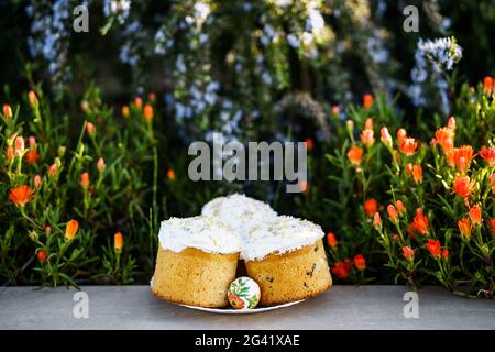 Teller mit drei Oster-Kuchen mit weißer Glasur bedeckt, in einem Blumenbeet. Stockfoto