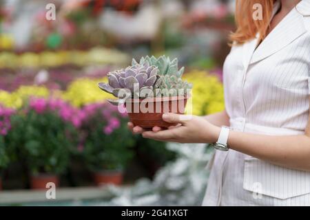 Seitenansicht der Hände der Frau, die Sukkulenten oder Kakteen in Töpfen mit anderen bunten Blumen im Hintergrund halten Stockfoto