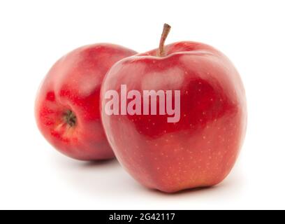 Mehrere rote Äpfel liegen auf weißem Hintergrund Stockfoto