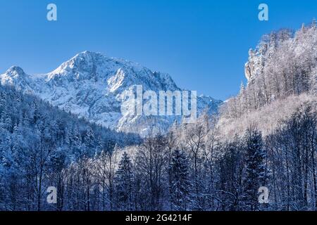 Blick auf den Herzogstand an einem kalten Wintermorgen, Kochel am See, Bayern, Deutschland, Europa Stockfoto