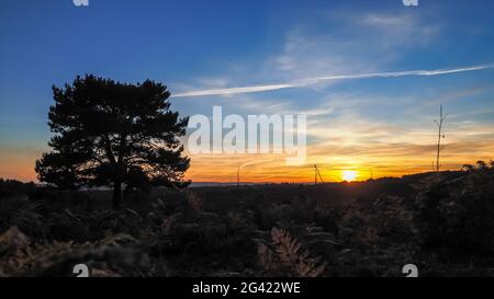 Sonnenuntergang über der Ashdown Forest in Sussex Stockfoto