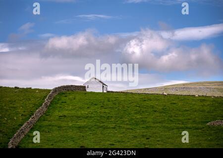 Traditionelle, weiß getünchte Scheune in Upper Teesdale, County Durham, England, im Frühjahr Stockfoto