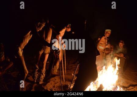 Bushmen Naro Tribe genießen ihren traditionellen Tanz um ein Feuer in der Nacht. Botswana ist die Heimat von etwa 63,500 San, was etwa 2.8 % der Bevölkerung des Landes ausmacht und damit das Land mit der höchsten Bevölkerung von San ist. Die San-Völker (auch Saan) oder Buschmänner sind Mitglieder verschiedener Khoe-, Tuu- oder Kxʼa-sprechender indigener Jäger- und Sammlergruppen, die die ersten Nationen des südlichen Afrikas sind. Botswana. Stockfoto