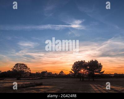 Sonnenuntergang über der Ashdown Forest in Sussex Stockfoto