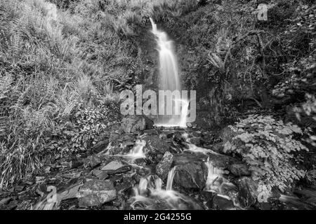 Langzeitbelichtung des Hollowbrook Wasserfalls auf dem South West Coastpath von Woody Bay bis Heddons Mouth in Devon Stockfoto