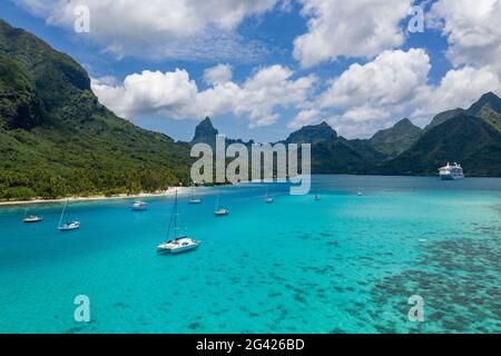 Luftaufnahme von Segelbooten vor Anker in Opunohu Bay mit dem Schiff in der Ferne, Moorea, Windward Islands, Französisch-Polynesien, Südpazifik Stockfoto