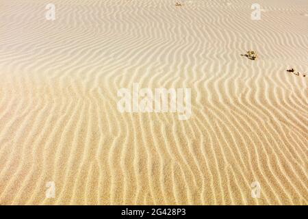 Sandriffe am Strand, Sand, Spiekeroog, Ostfriesland, Niedersachsen, Deutschland Stockfoto