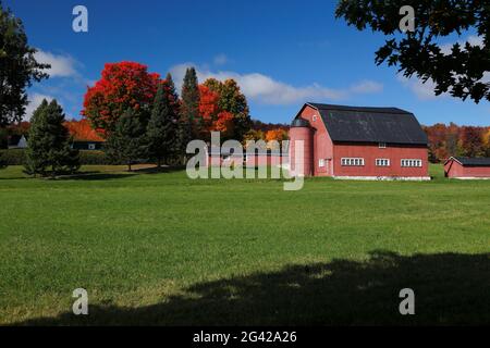 Rote Scheune auf dem Land Quebec; Kanada Stockfoto