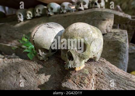 Die historische Grabstätte von Lombok Parinding in Tana Toraja Stockfoto