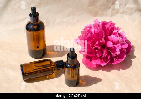 Peony-Extrakt. Ätherisches Öl der Pfingstrose. Glasflaschen mit Serum auf beigem Hintergrund. Kosmetikprodukte Stockfoto