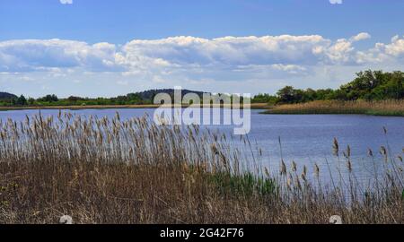 Der Salzwassermarsch befindet sich am parker River Wildlife Refugium in ipswich Mass. Stockfoto
