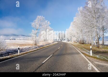 Landstraße zwischen Schlehdorf und Kochel am See an einem frostigen Morgen, Bayern, Deutschland. Stockfoto