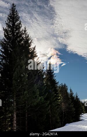 Sonnenhalo in Eiskristallen, irisierende Wolke, Winklmoos-Alm, Bayern, Deutschland Stockfoto