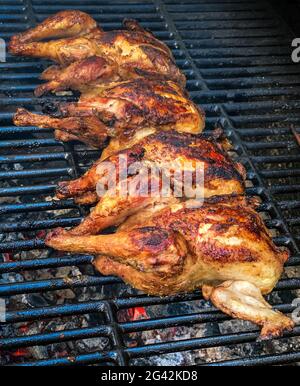 Koch kocht ein köstliches Huhn auf einem Grill. Nahaufnahme von leckeren Hühnerfleisch Grillen in BBQ von Garten zu Hause in den Ferien. Essen in Spanien. Stockfoto