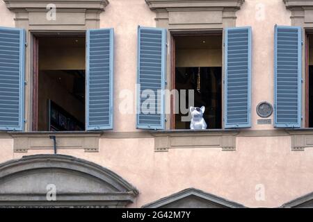 FLORENZ, TOSKANA/ITALIEN - OKTOBER 19 : Bulldog-Statue in einem Fenster eines Gebäudes auf der Piazza San Giovanni in Florenz am 19. Oktober Stockfoto