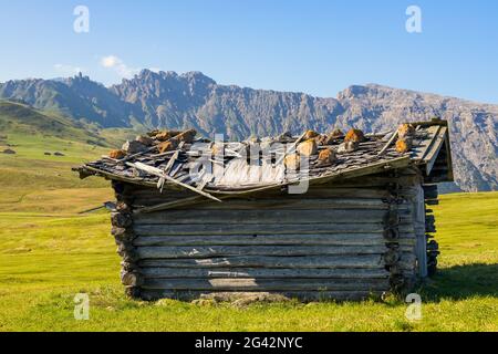 FIE AM SCHLERN, SÜDTIROL/ITALIEN - AUGUST 8 : Blick auf eine veröstete Hütte bei Fie am Schlern, Südtirol, Italien am 8. August, Stockfoto