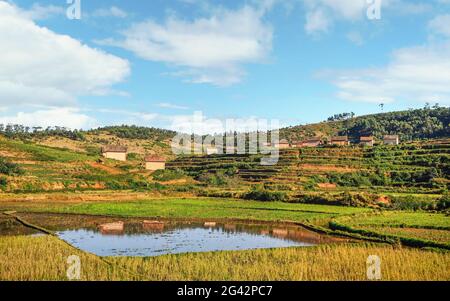 Terrassierte Reisfelder, kleiner Teich und Lehmhäuser auf Hügelgrund - typische Landschaft in Alakamisy Ambohimaha Region von Madagaskar Stockfoto