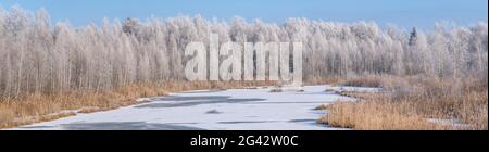 Wintermorgen in Weilheimer Moos, Bayern, Deutschland; Europa Stockfoto