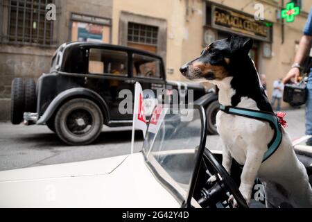 Civita Castellana, Italien. Juni 2021. Ein Auto fährt in Orvieto während der dritten Etappe der Mille Miglia 2021 am 18. juni 2021 in Orvieto, Italien. Foto von Gianluca Checchi/New Reporter/LiveMedia Kredit: Independent Photo Agency/Alamy Live News Stockfoto