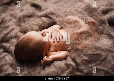 Neugeborenes Baby schläft auf einer grauen Wolldecke bei einem Fotoshooting für Neugeborene Stockfoto