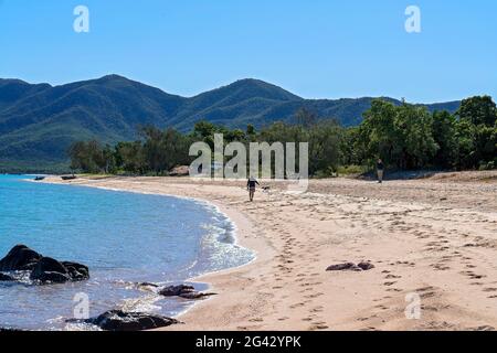 Cape Gloucester, Queensland, Australien - 2021. Juni: Mann, der mit seinem Hund am Strand läuft, während ein älterer Mann in der Nähe steht und seine Drohne fliegt Stockfoto