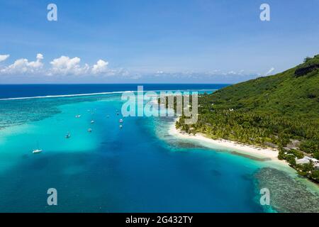 Luftaufnahme von Segelbooten, die in der Bucht von Opunohu festgemacht sind, und Menschen am Strand, Moorea, den Windward Islands, Französisch-Polynesien, Südpazifik Stockfoto