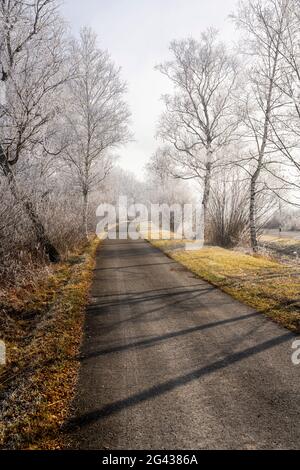 Rad- und Fußweg zwischen Schlehdorf und Kochel am See an einem frostigen Morgen; Bayern; Deutschland. Stockfoto