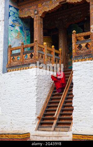 Ein buddhistischer Mönch, gekleidet i9n leuchtend rot, steigt eine Treppe in einen bhutanischen Tempel. Gedreht in Bhutan. Stockfoto