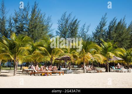 Kokospalmen und Strandliegen im Hotel des Hotels am Ong lang Beach, in der Nähe von Cua Can, Phu Quoc Island, Kien Giang, Vietnam, Asien Stockfoto