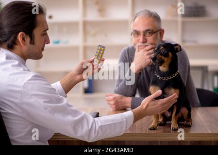 Junger männlicher Arzt Tierarzt untersucht Hund in der Klinik Stockfoto