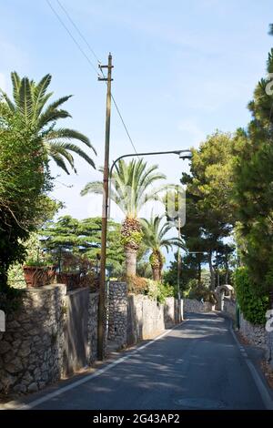 Kleine, von Palmen umgebene Straße in Capri, Italien Stockfoto