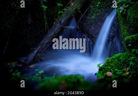 Winziger Wasserfall im Bayerischen Wald, Bayern, Deutschland, Europa Stockfoto