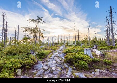 Wanderweg im Bayerischen Wald / Böhmerwald, Bayern, Deutschland / Südböhmen, Tschechien Stockfoto