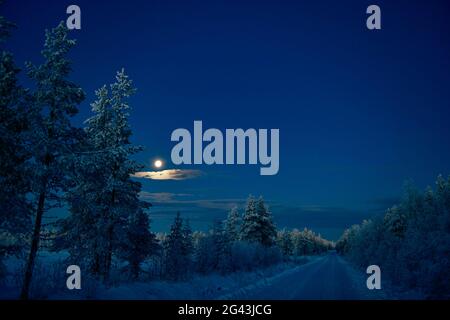 Vollmond über der frühmorgendlichen Winterlandschaft, Storuman, Lappland, Schweden Stockfoto