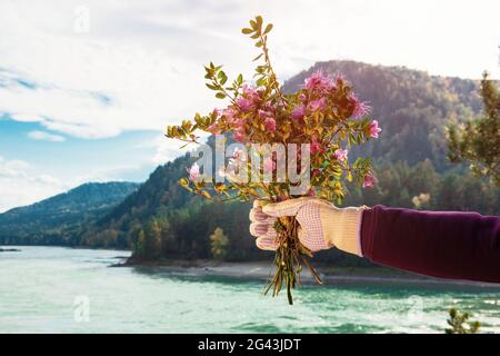 Blumenstrauß in der Hand einer Frau mit Handschuhen Stockfoto