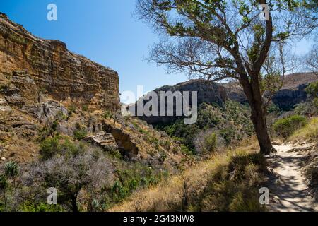 Isalo-Nationalpark in der Nähe von Ranohira, Region Ihorombe, Süd-Madagaskar, Afrika Stockfoto