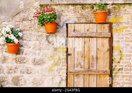 Hölzerne Tür zu einem Haus mit Blumentöpfen an einer Steinmauer geschmückt. Stockfoto