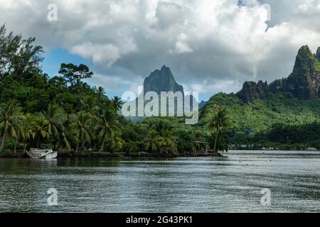 Küste von Cook's Bay mit Mount Tohivea in der Ferne, Moorea, Windward Islands, Französisch-Polynesien, Südpazifik Stockfoto