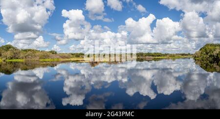 Wolken, die sich im Fluss, Myakka River State Park, in der Stadt, in den USA, spiegeln Stockfoto