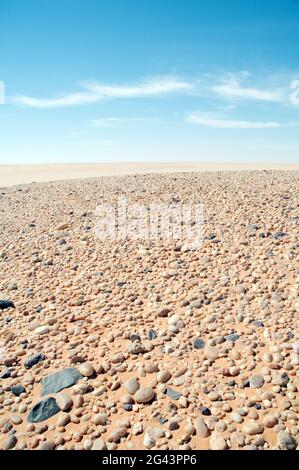 Der Wüstenboden, der mit unzähligen Kieselsteinen übersät ist und Teil eines alten trockenen Meeresbodens ist, befindet sich in der westlichen Wüstenregion der Sahara im Südwesten Ägyptens. Stockfoto