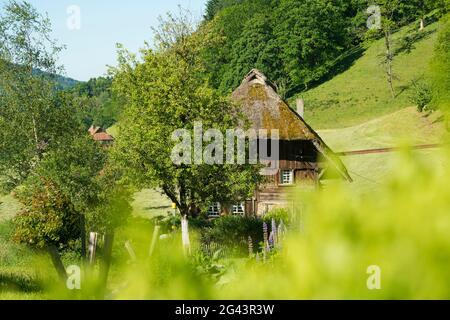 Reetmühle mit Hüttengarten, Oberprechtal bei Elzach, Schwarzwald, Baden-Württemberg, Deutschland Stockfoto